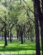 Be Your Bliss Meryl Chodosh-Weiss