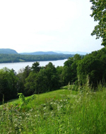 Be Your Bliss Meryl Chodosh-Weiss